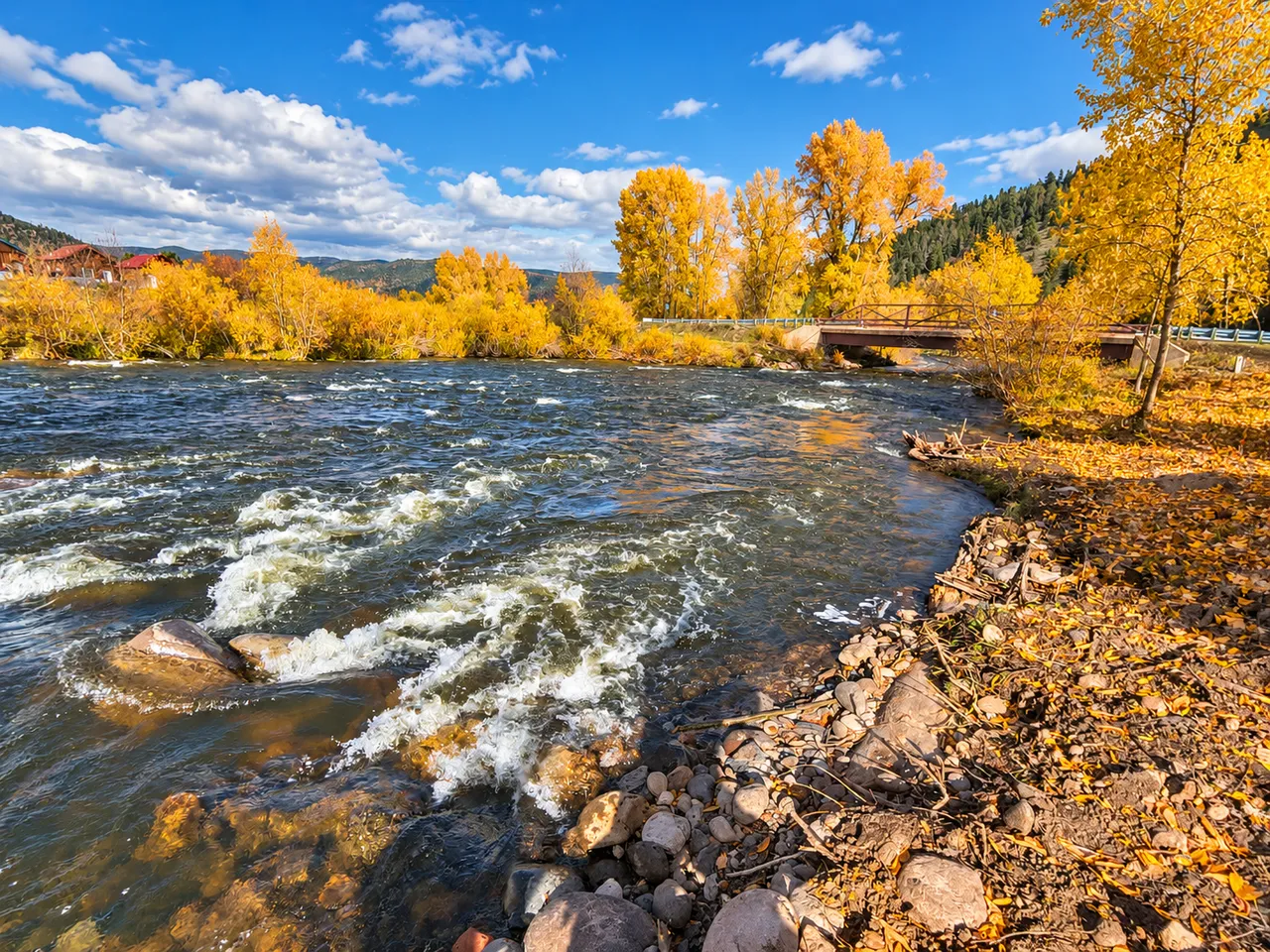 Flowing river and autumn foliage beside the property
